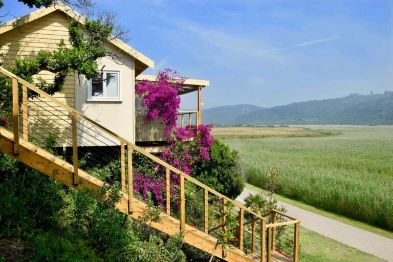 justfor2 5 Medium 768x512