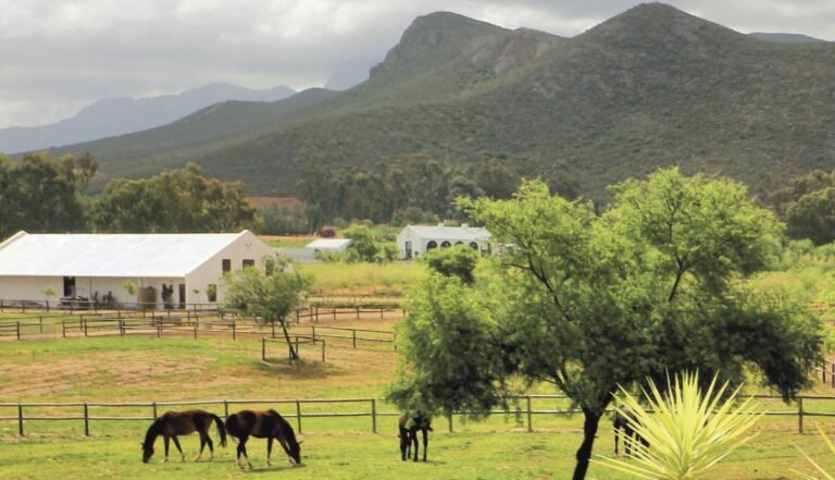 theLAB Robertson 1 768x441