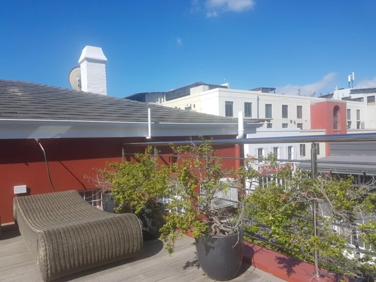 purple house 2 Medium 768x576