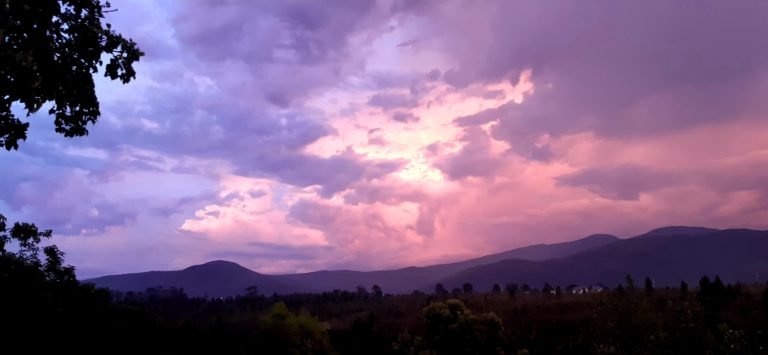 20220115 194610 768x355