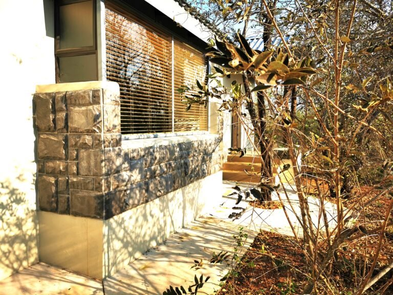 IMG 20220805 162031 resized 20220822 031614813 768x576