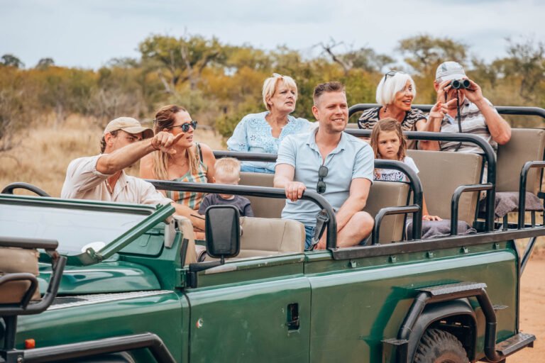 pridelands 10 768x512