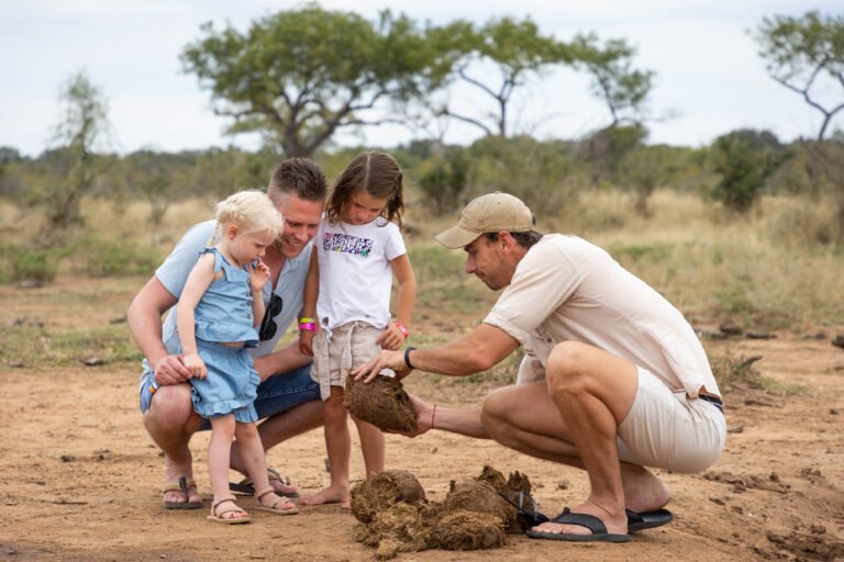 pridelands 9 768x512